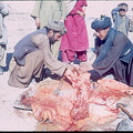 Ein Kamel wird geschlachtet
