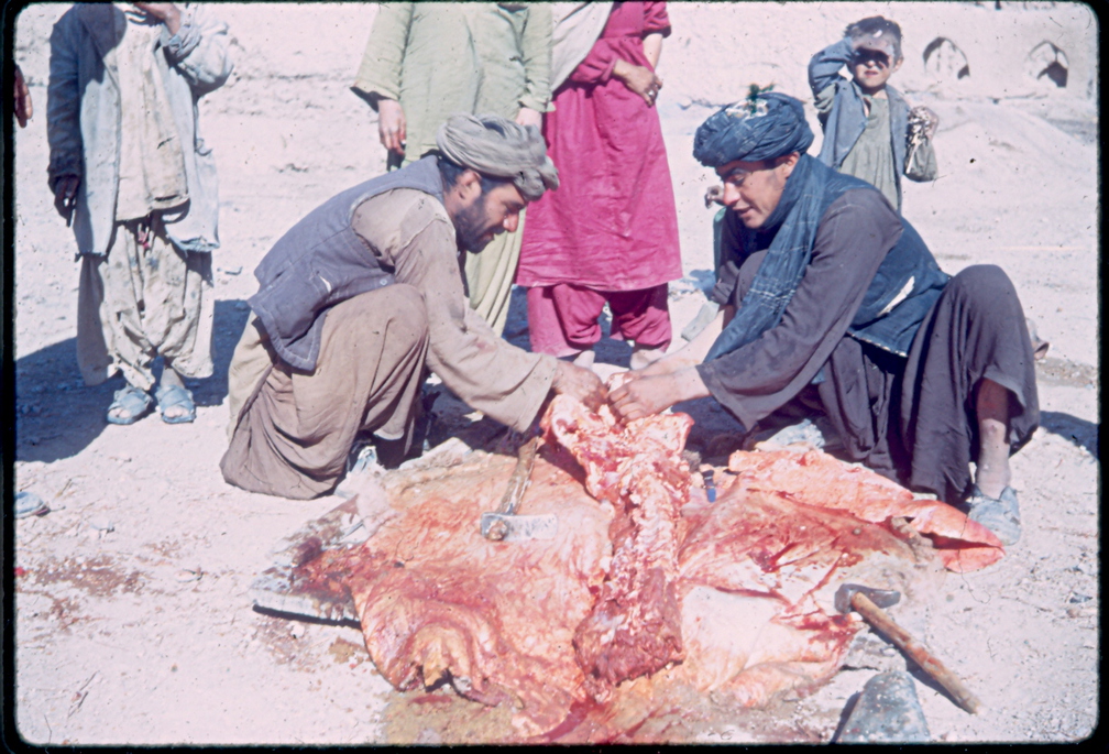 Ein Kamel wird geschlachtet