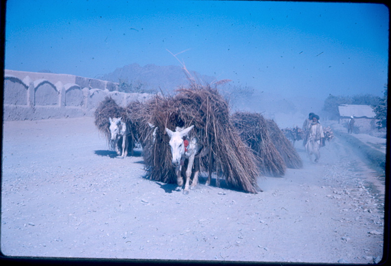 Aero Afghanistan_1966 Bild_14.jpg