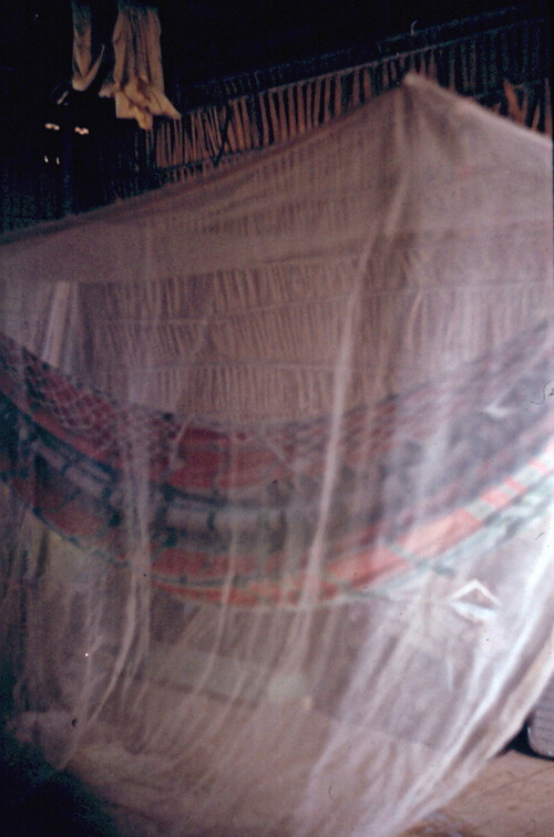 Hängematte mit Moskitonetz - unentbehrlich für die nächsten 6 Monate