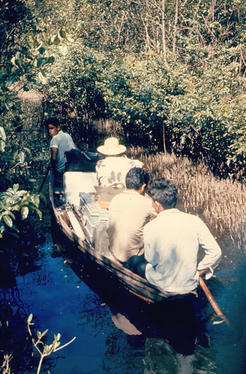 Und so geht es weiter