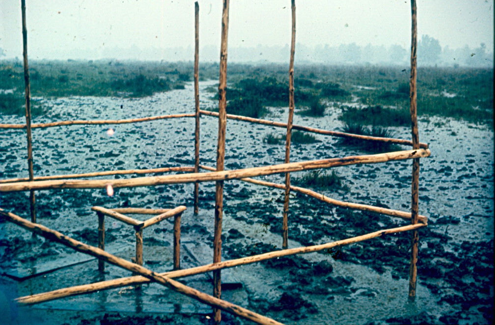 Astro-Punkt unter Wasser