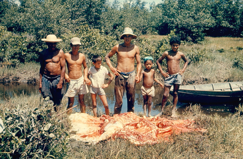 Ein Schlachtfest uns zu Ehren