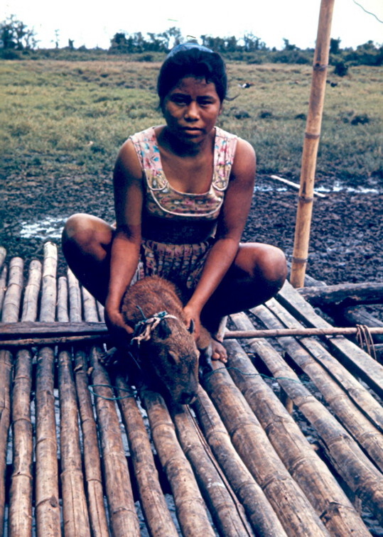 Indianerin mit kleinem Wasserschwein