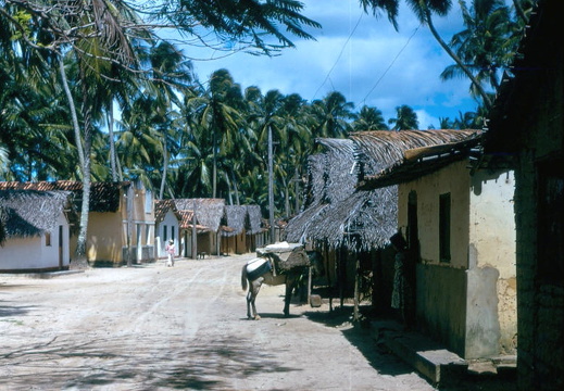 Fischerdorf südlich von Recife