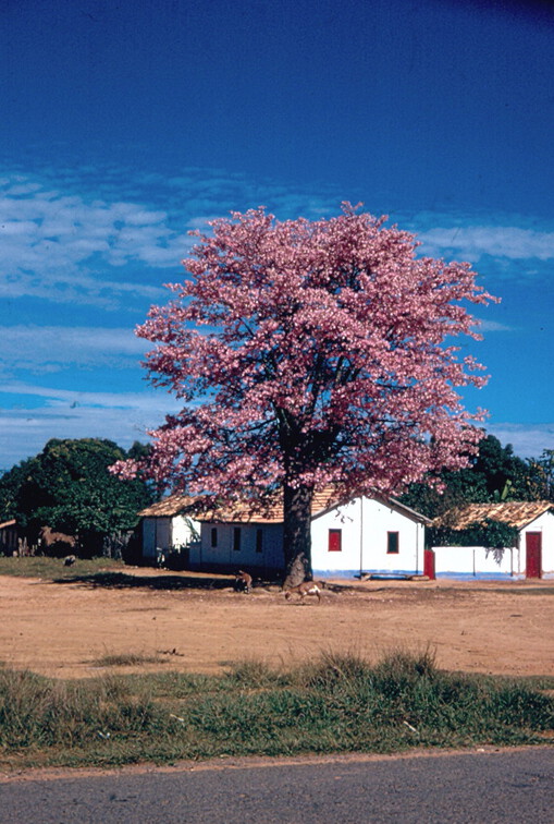 Unterwegs im Inland von Minas Gerais