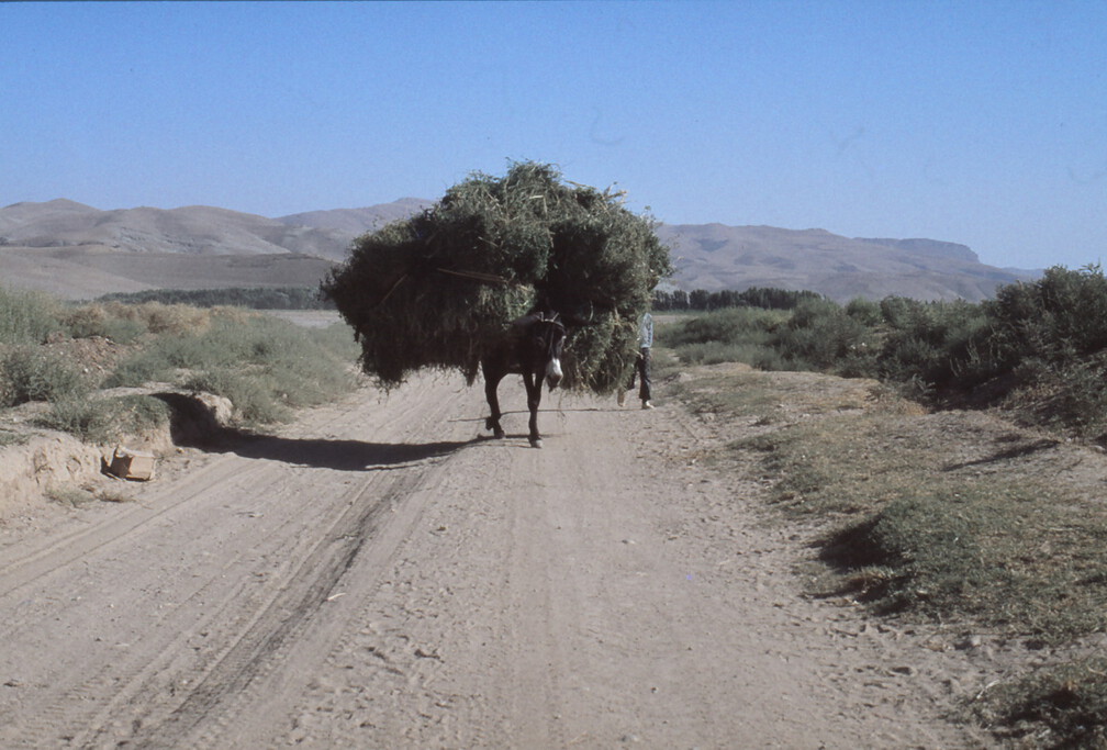 Transportmittel (umweltfreundlich)
