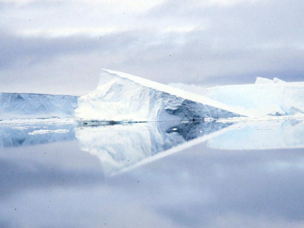 nach der Durchquerung der 'Roaring Fourties' : erste Eisberge