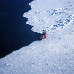 die Polar Queen wartet an der Eiskante
