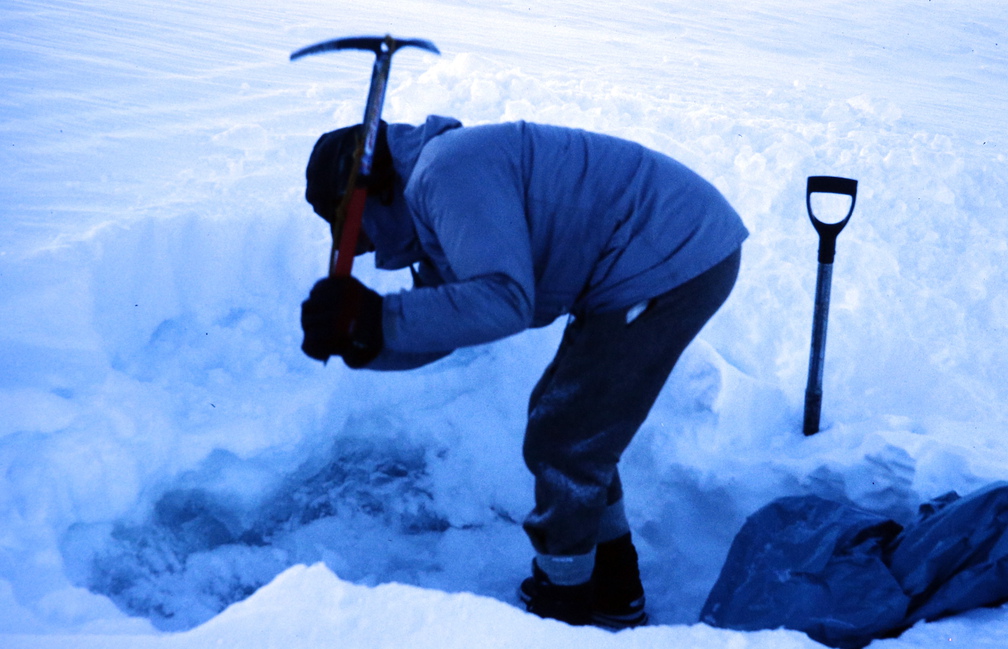 der Kühlschrank wird geöffnet