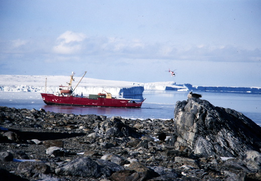 Polar Queen vor der Gondwanastation