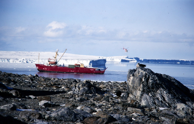Aero Antarktis_GANOVEX_5_1989  Bild_42.JPG