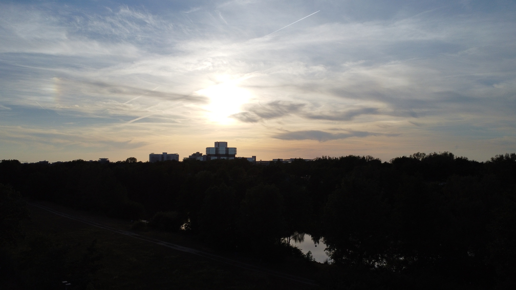 PS Buchholzer Strasse 100 801 220619