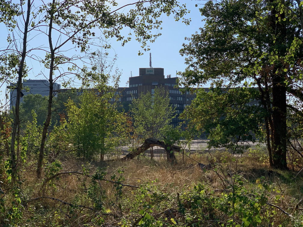 PS Buchholzer Strasse 100 1110 220906