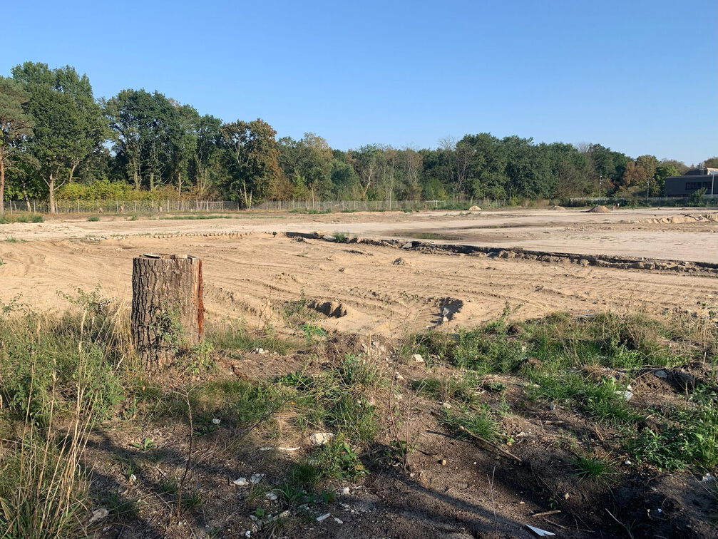 PS Buchholzer Strasse 100 1111 220906