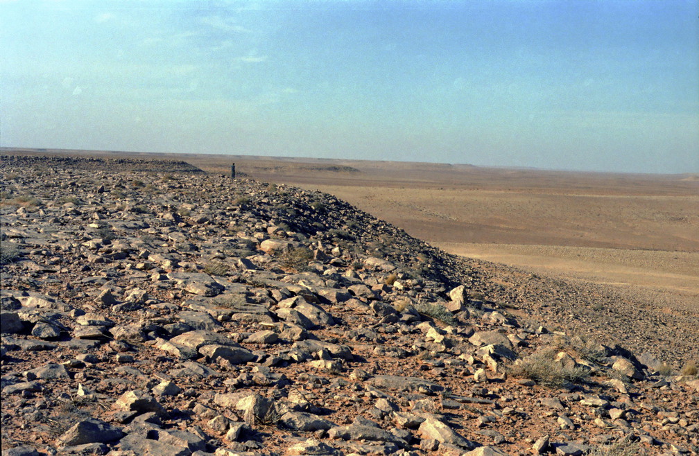 Libyen 1981 6 005