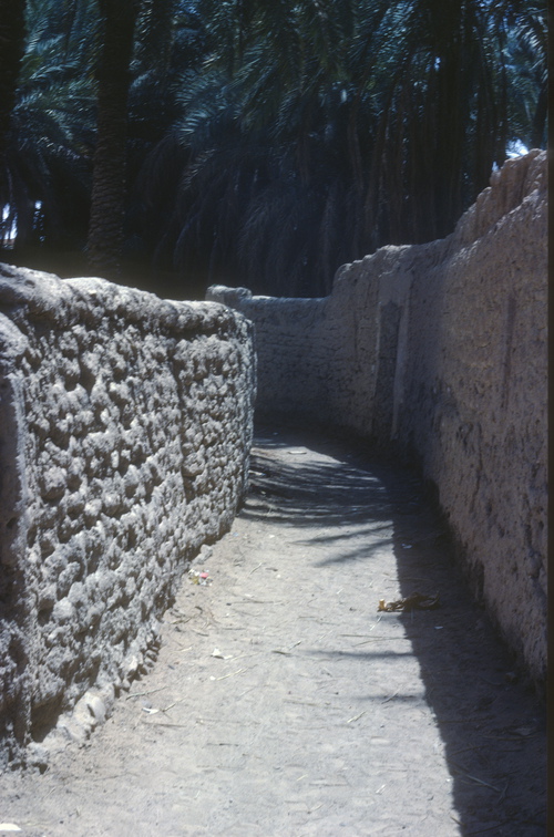 Libyen LY23 2 1982 Bild 24