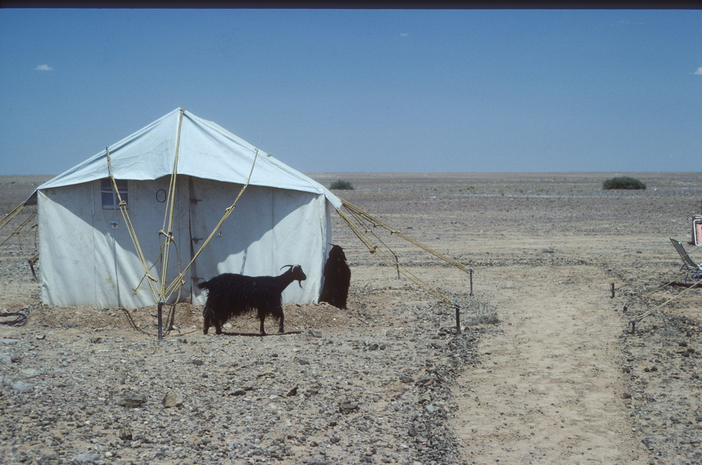 Libyen LY23 4 1982 Bild 54