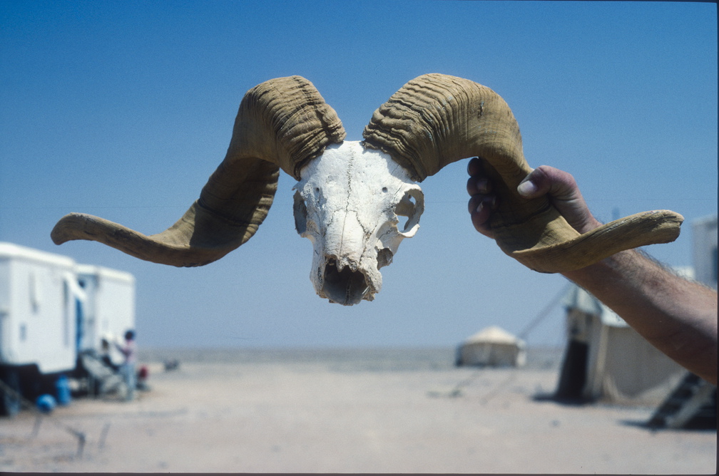 Libyen LY23 5 1982 Bild 63