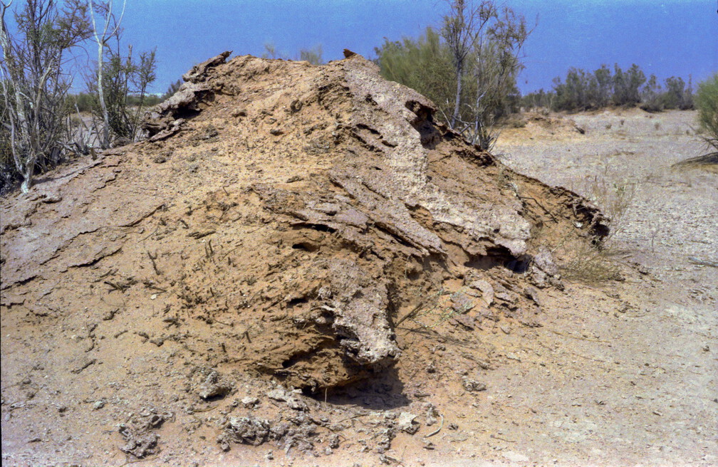 Libyen LY23 2 1983 Bild 33