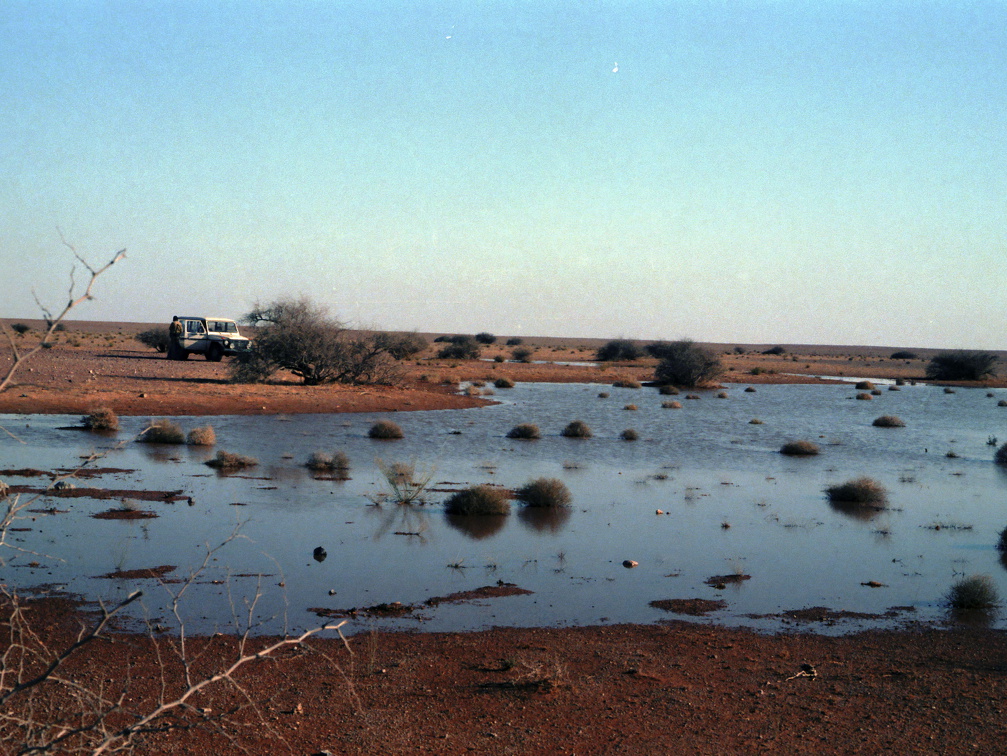 Libyen LY23 1 1984 Bild 13