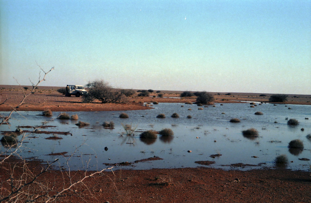 Libyen LY23 1 1984 Bild 13