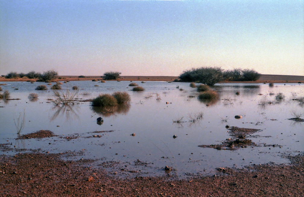 Libyen LY23 1 1984 Bild 14