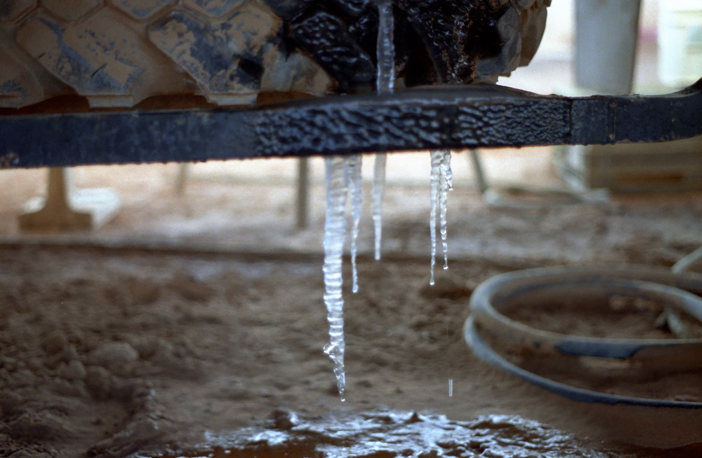 Libyen LY23 2 1984 Bild 17