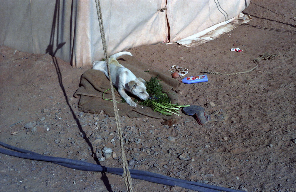 Libyen LY23 2 1984 Bild 18