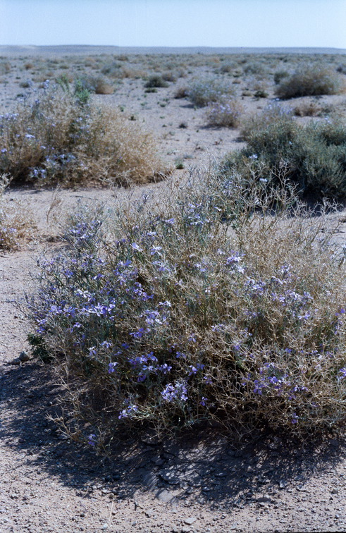 Libyen LY23 2 1984 Bild 23