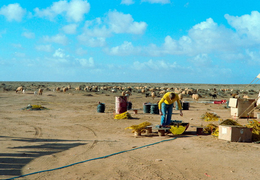 Libyen Conc129 1987 Bild 14