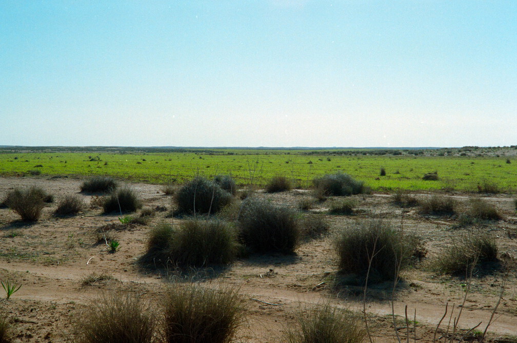 Libyen Conc129 1987 Bild 68
