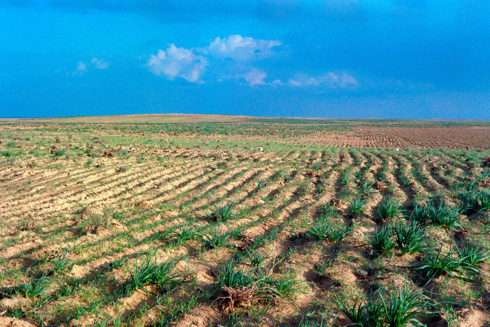 Libyen Conc129 1987 Bild 72