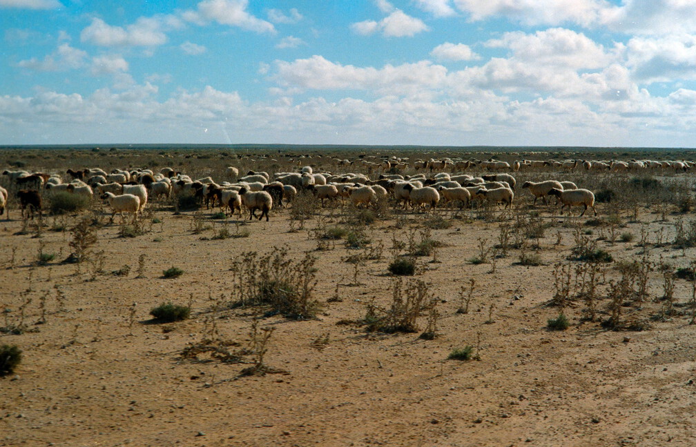 Libyen Conc129 1987 Bild 82