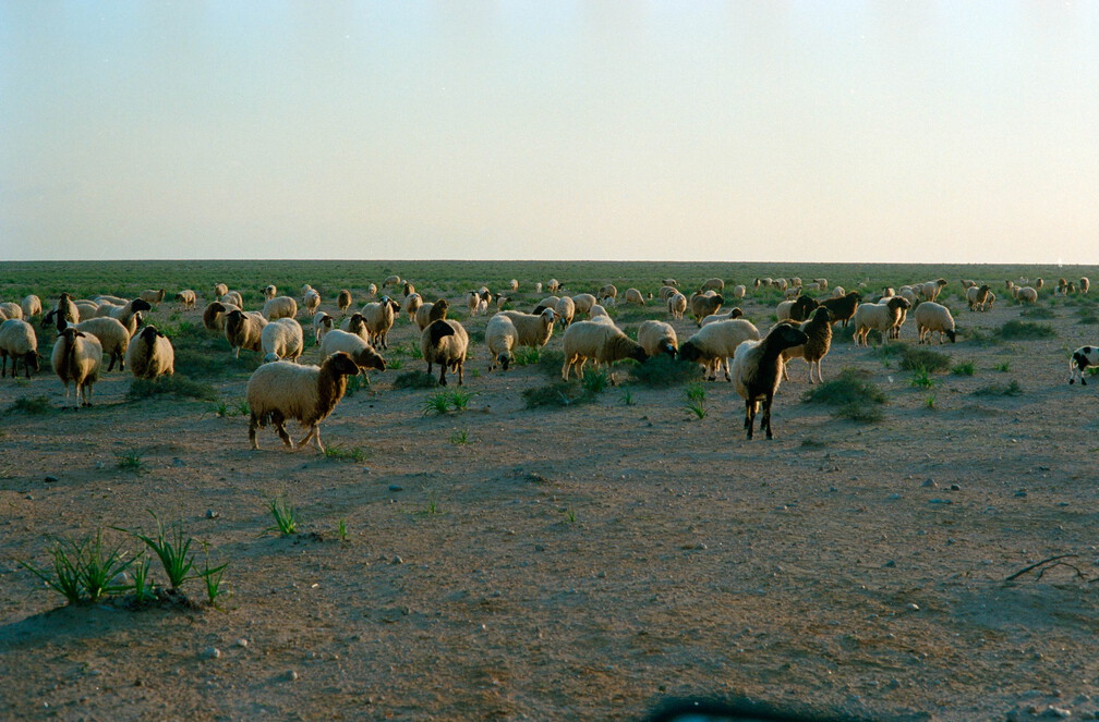 Libyen Conc129 1987 Bild 103