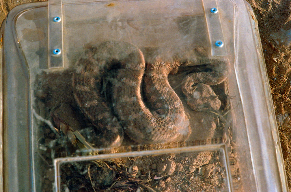 Libyen Conc129 1987 Bild 104