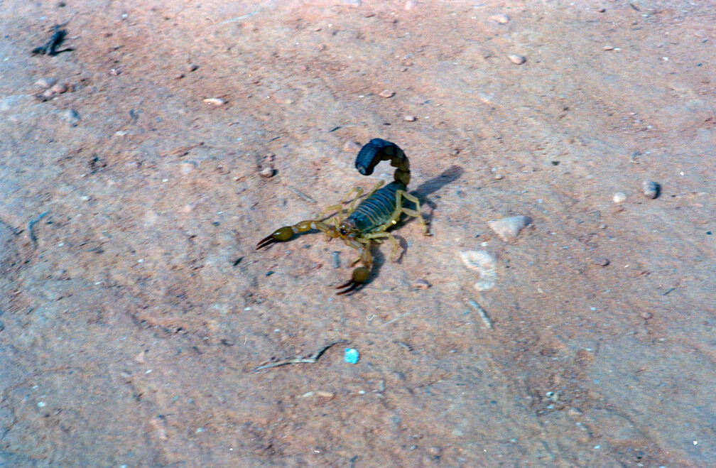 Libyen Conc129 1987 Bild 105