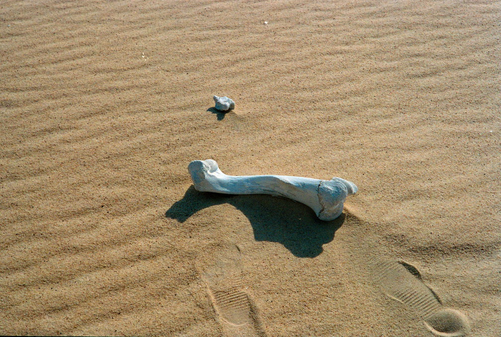 Libyen 285 Conc51 1988 Bild 001