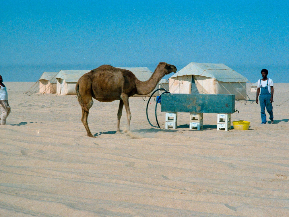 Libyen 285 Conc51 1988 Bild 006