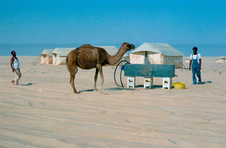 Libyen_285_Conc51_1988 Bild_006.jpg