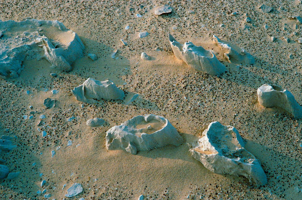 Libyen 285 Conc51 1988 Bild 009