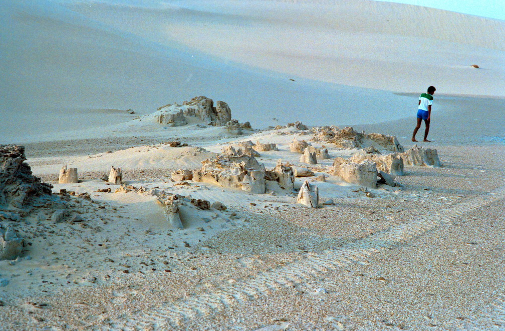 Libyen 285 Conc51 1988 Bild 013