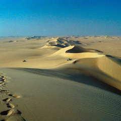 Libyen 285 Conc51 1988 Bild 018