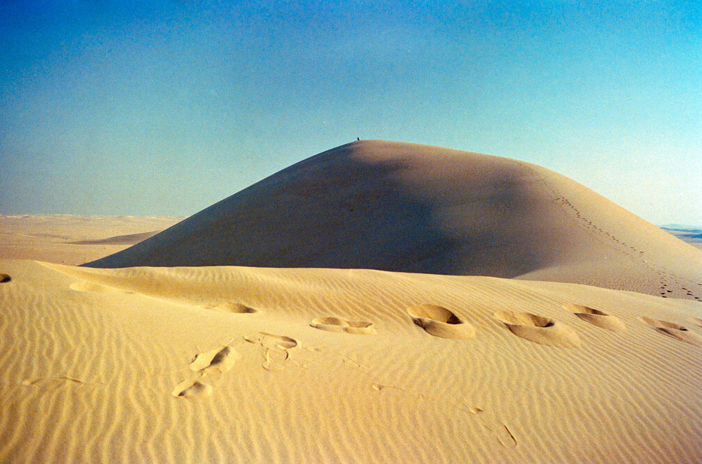 Libyen 285 Conc51 1988 Bild 019