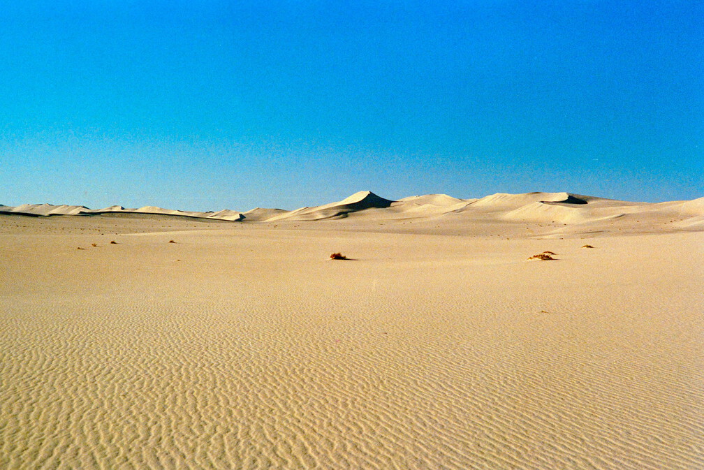 Libyen 285 Conc51 1988 Bild 021