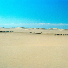 Libyen 285 Conc51 1988 Bild 023
