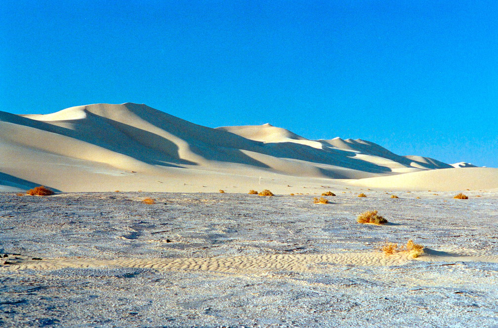 Libyen 285 Conc51 1988 Bild 028