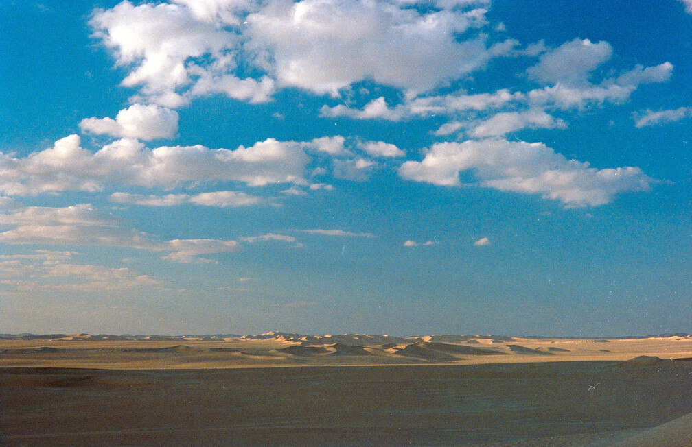 Libyen 285 Conc51 1988 Bild 029