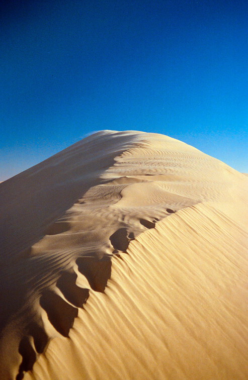 Libyen 285 Conc51 1988 Bild 042