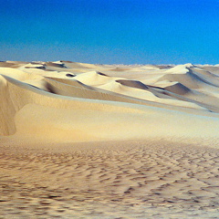 Libyen 285 Conc51 1988 Bild 055